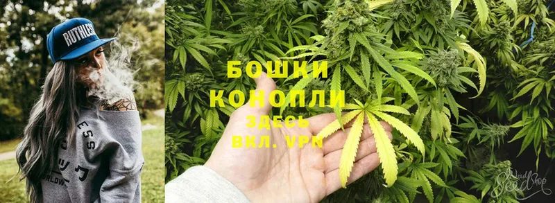 MEGA ссылка  цены наркотик  Буинск  Бошки марихуана THC 21% 